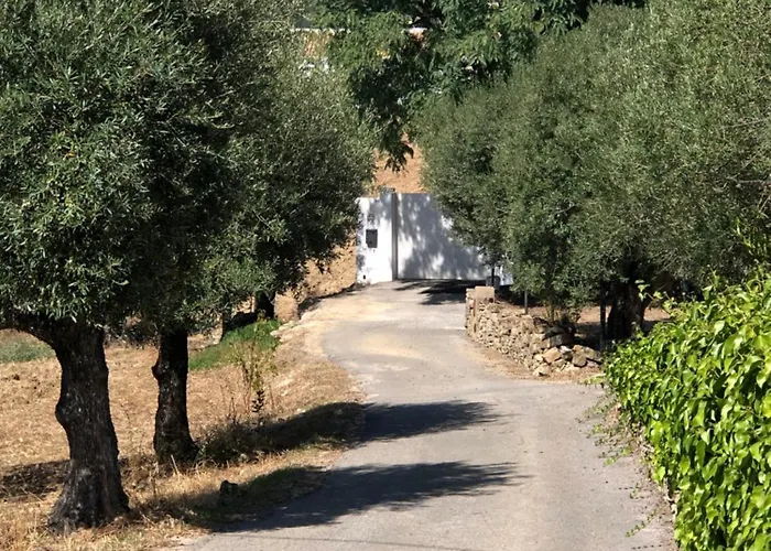 Casa Soalheira, Algarve Countryside Living Apartament *